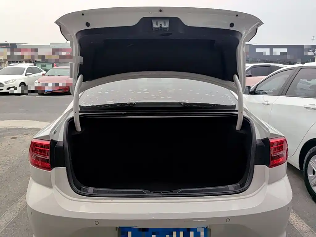 Volkswagen Lamando — миниатюра 19