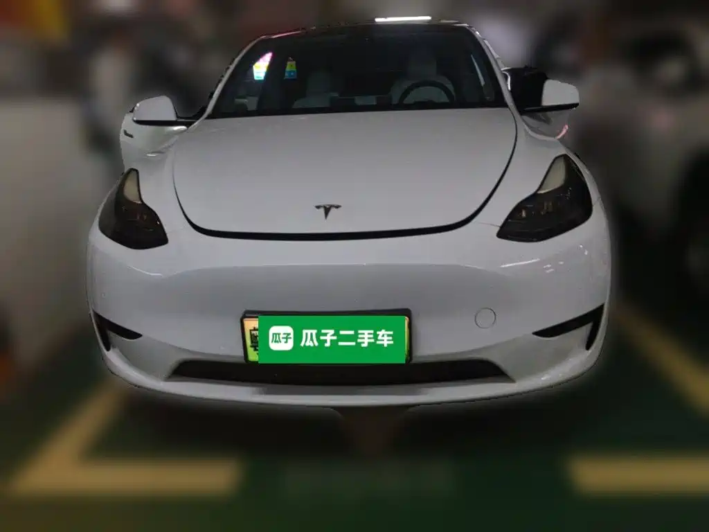 Tesla Model Y — миниатюра 2