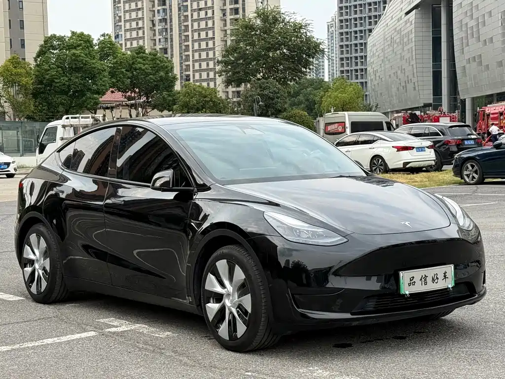 Tesla Model Y — миниатюра 3