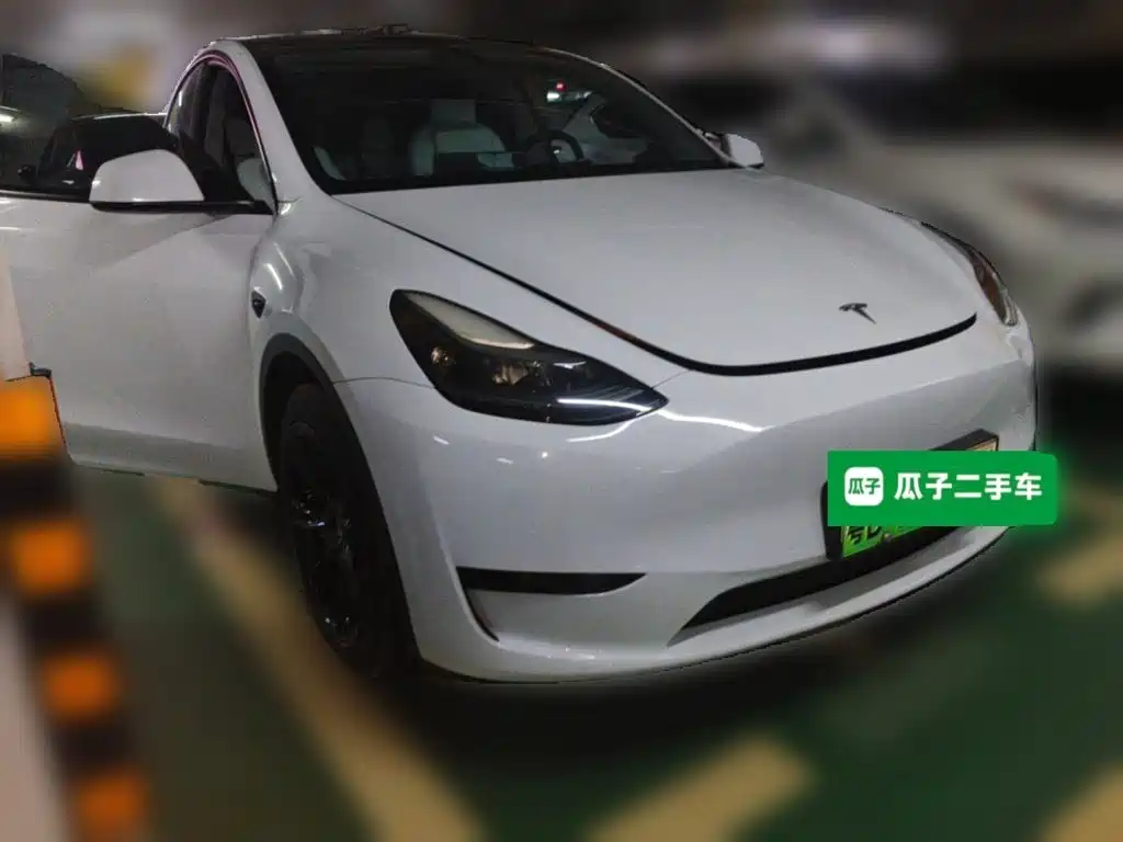 Tesla Model Y — миниатюра 3