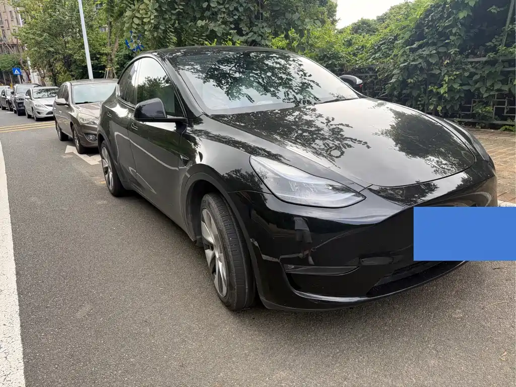 Tesla Model Y — миниатюра 3