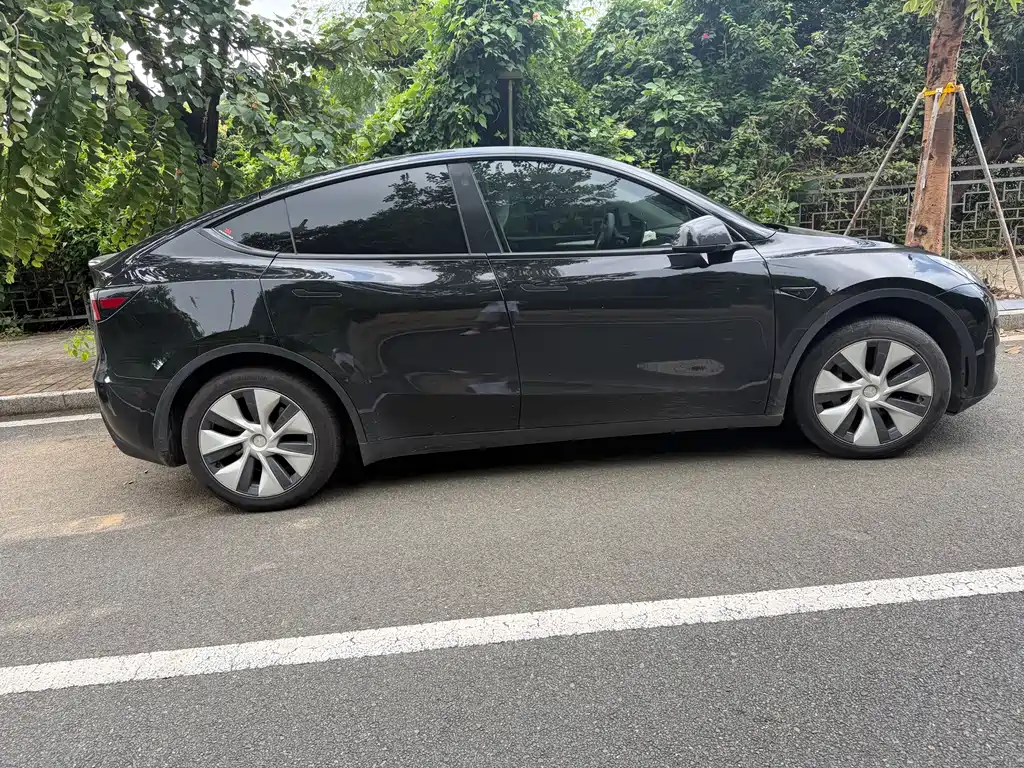 Tesla Model Y — миниатюра 11