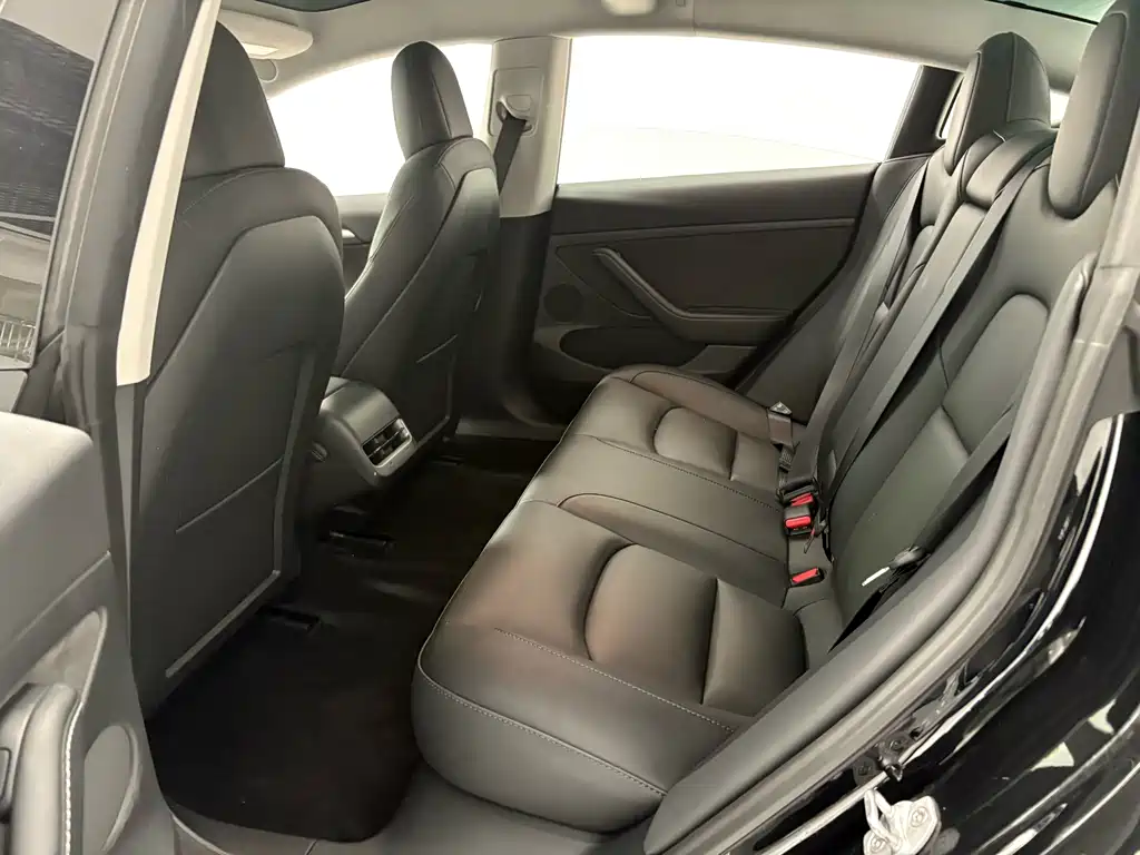 Tesla Model 3 — миниатюра 8