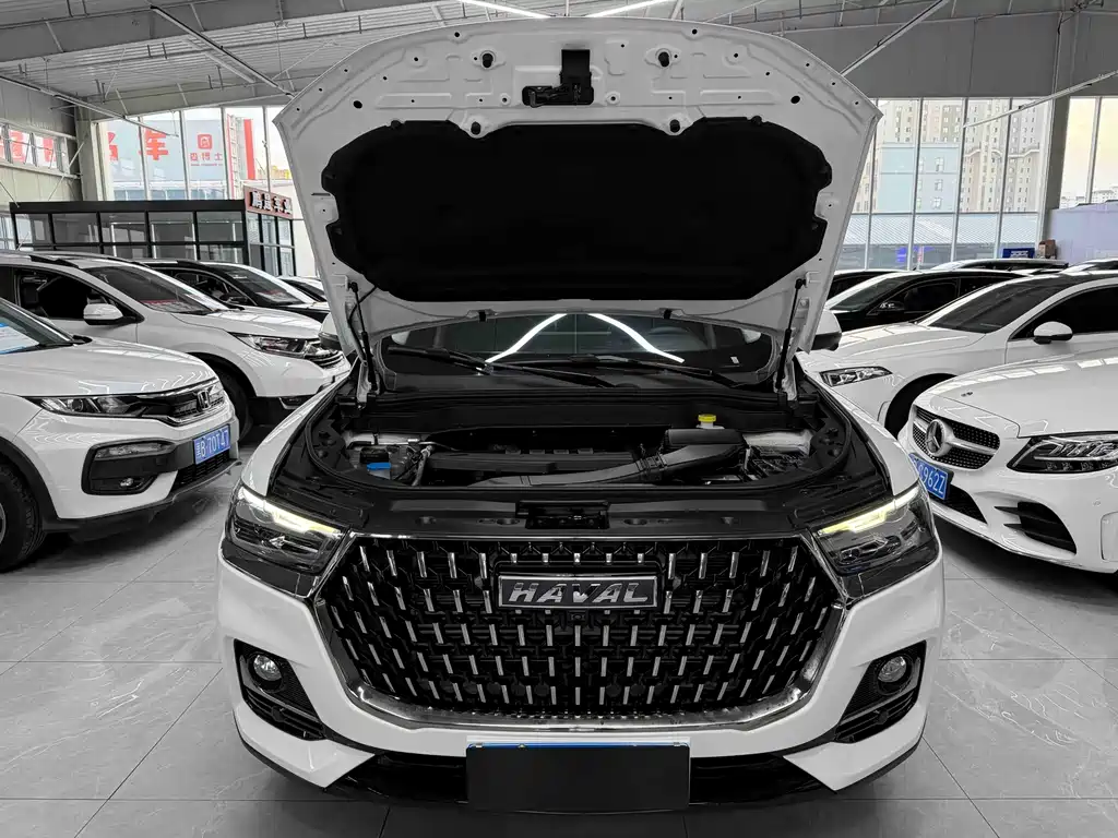 Haval H6 — миниатюра 20