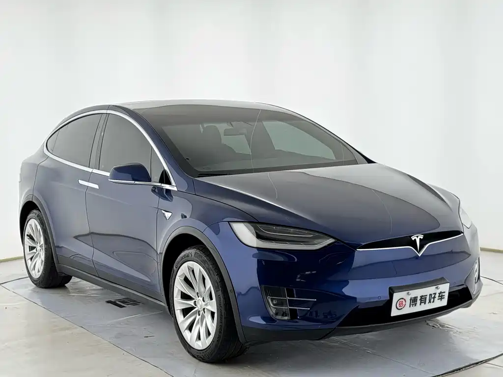 Tesla Model X — миниатюра 4