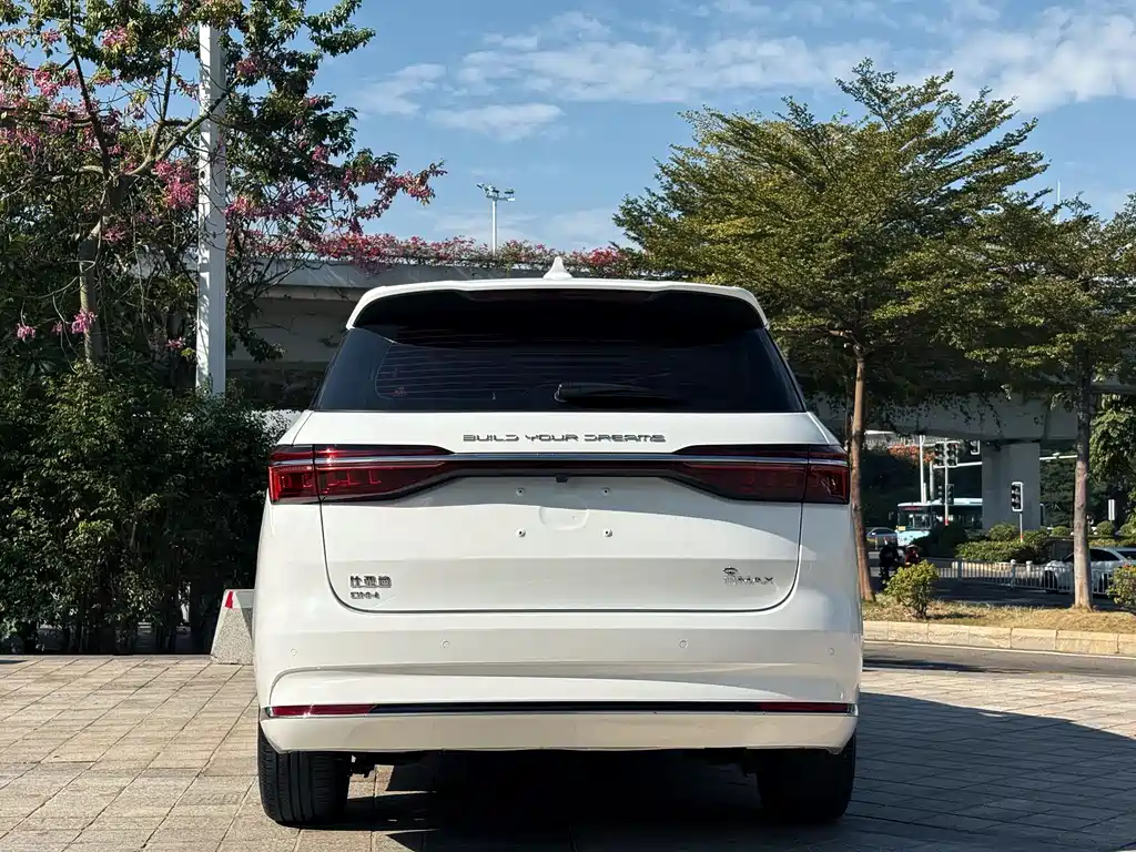 BYD SONGJIANG NEW ENERGY