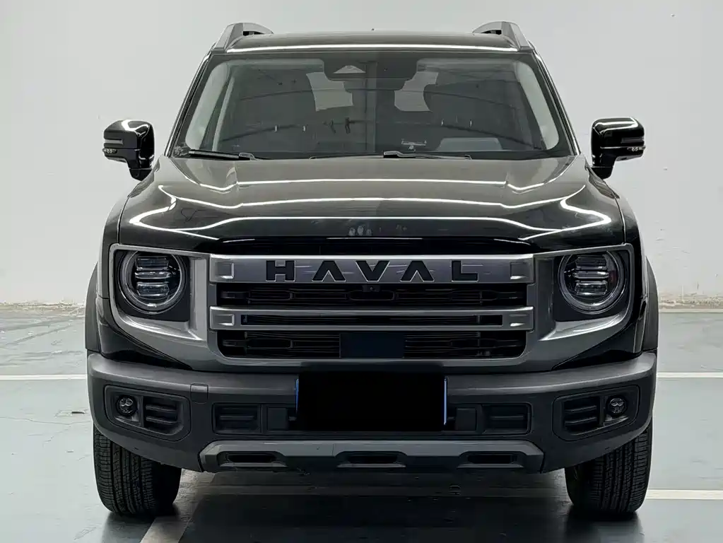 HAVAL BIG DOG