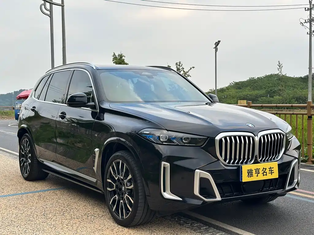 BMW X5 — миниатюра 3
