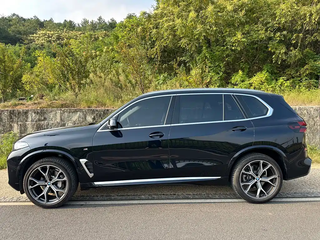 BMW X5 — миниатюра 4