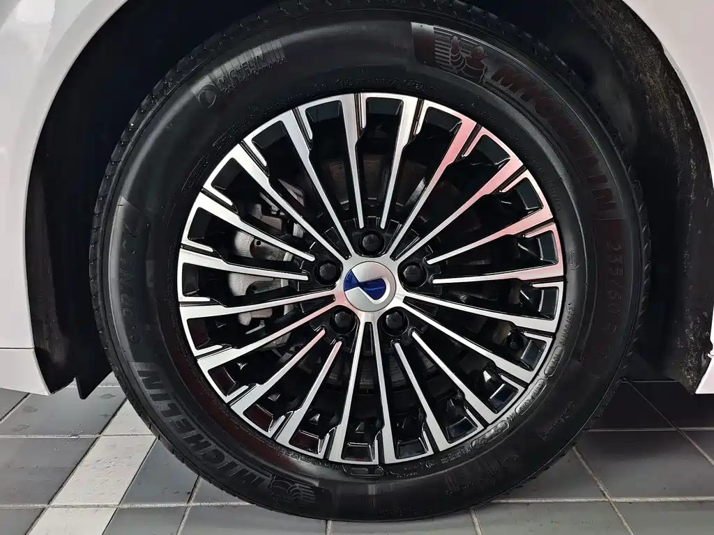 Denza Denza D9 — миниатюра 3
