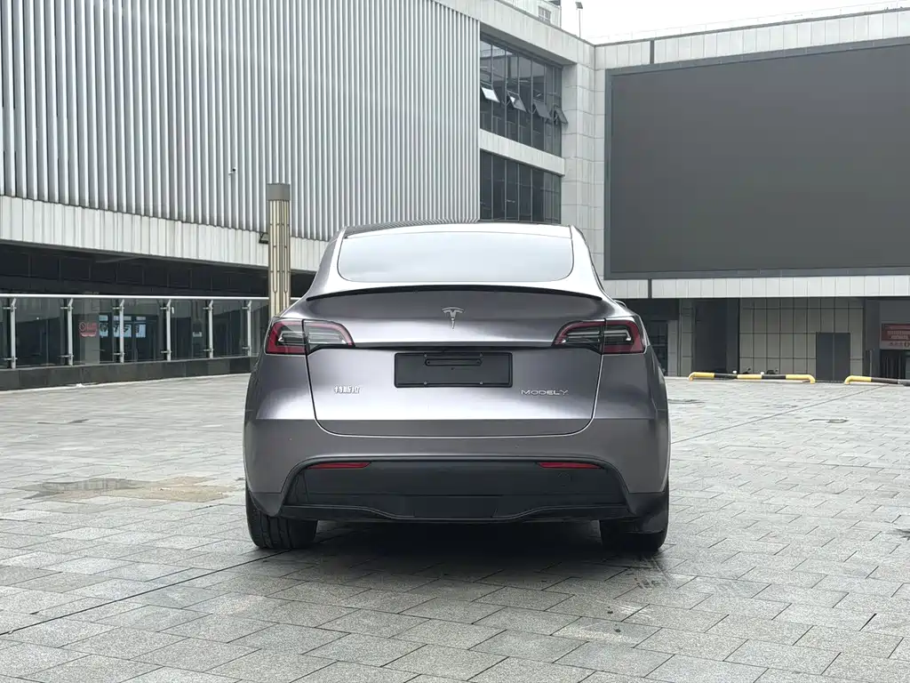 Tesla Model Y — миниатюра 6