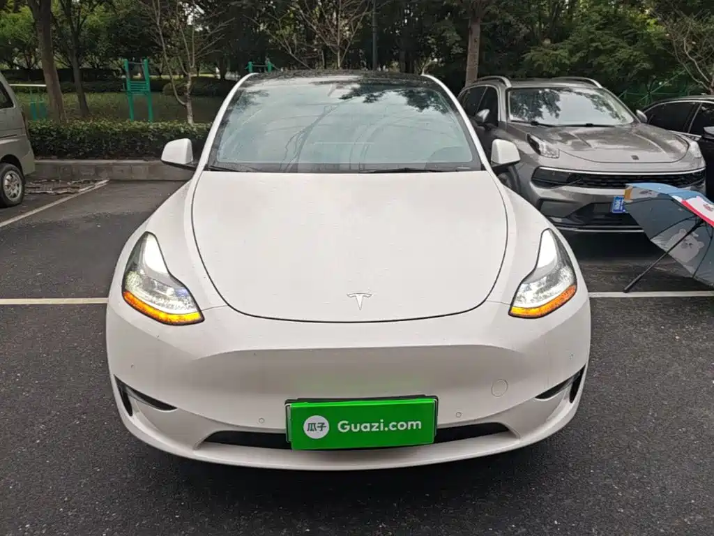 Tesla Model Y — миниатюра 3