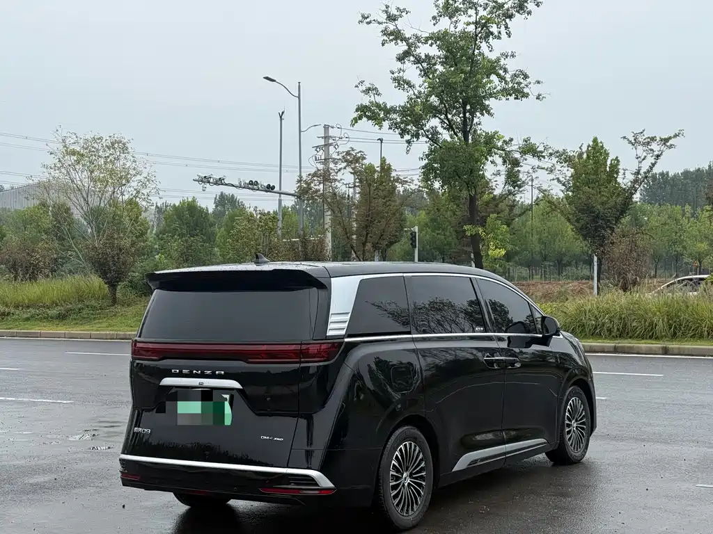 Denza Denza D9 — миниатюра 9