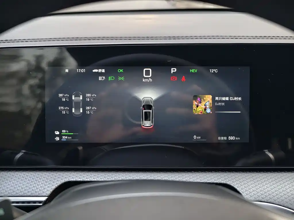 BYD SONGJIANG NEW ENERGY