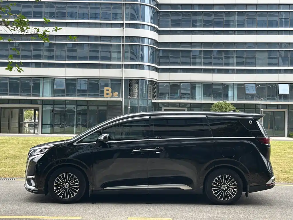 Denza Denza D9 — миниатюра 7