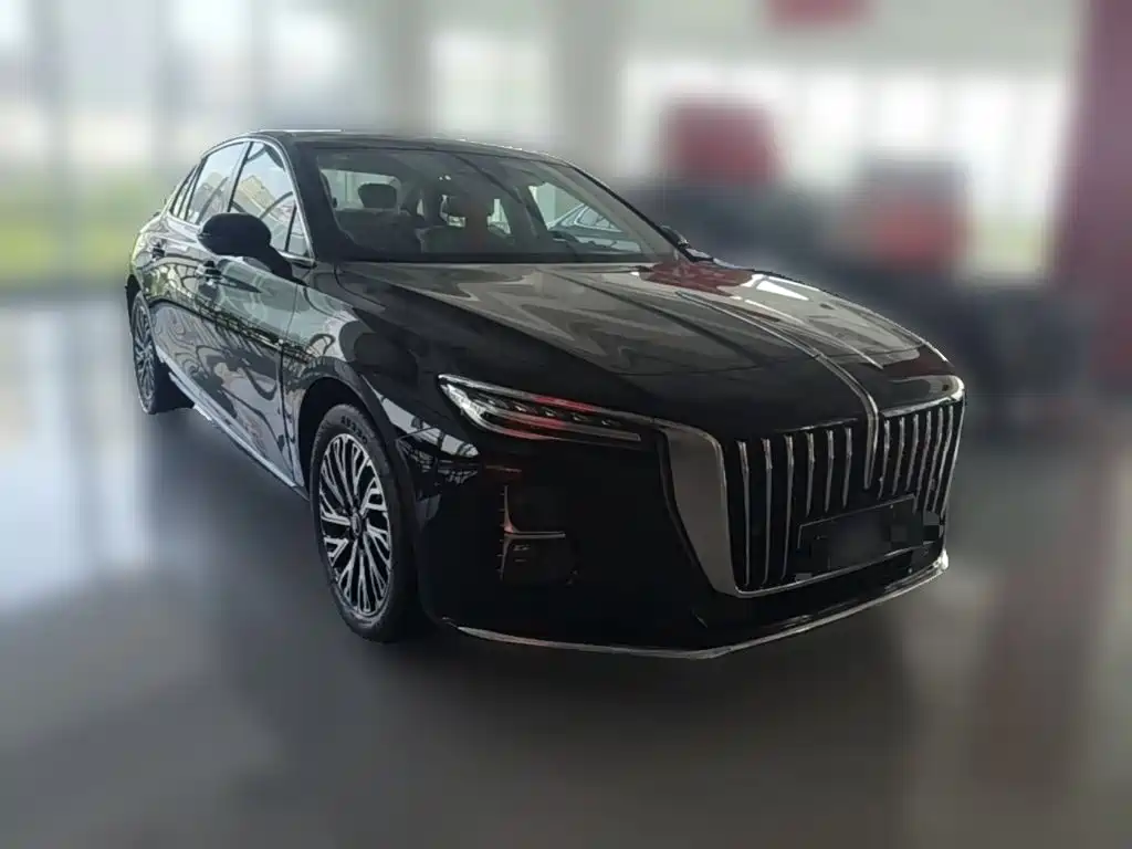 Hongqi Hongqi H5 — миниатюра 6