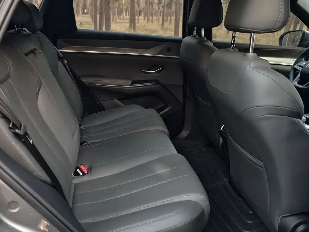 BYD SONGJIANG NEW ENERGY