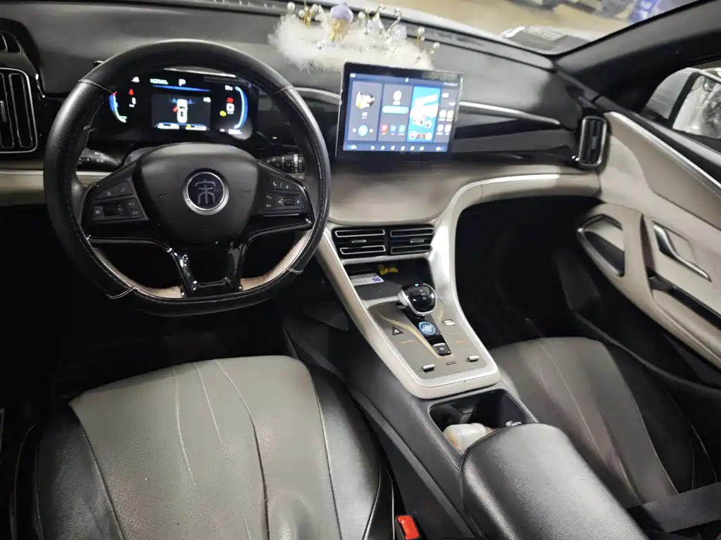 BYD SONGJIANG NEW ENERGY