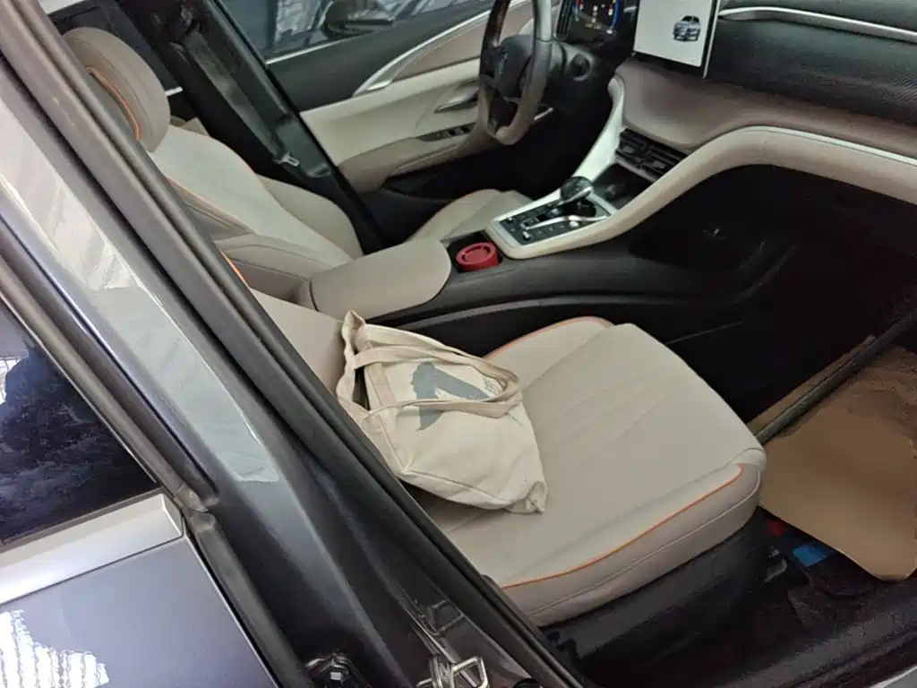 BYD Pro New Energy — миниатюра 25