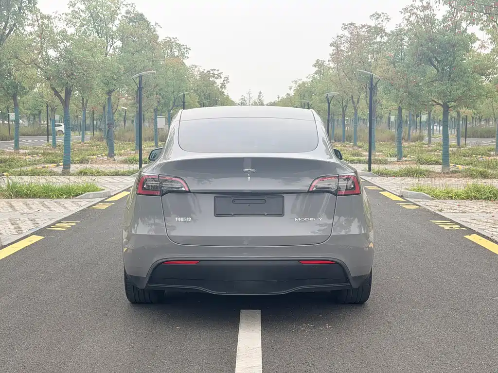 Tesla Model Y — миниатюра 12
