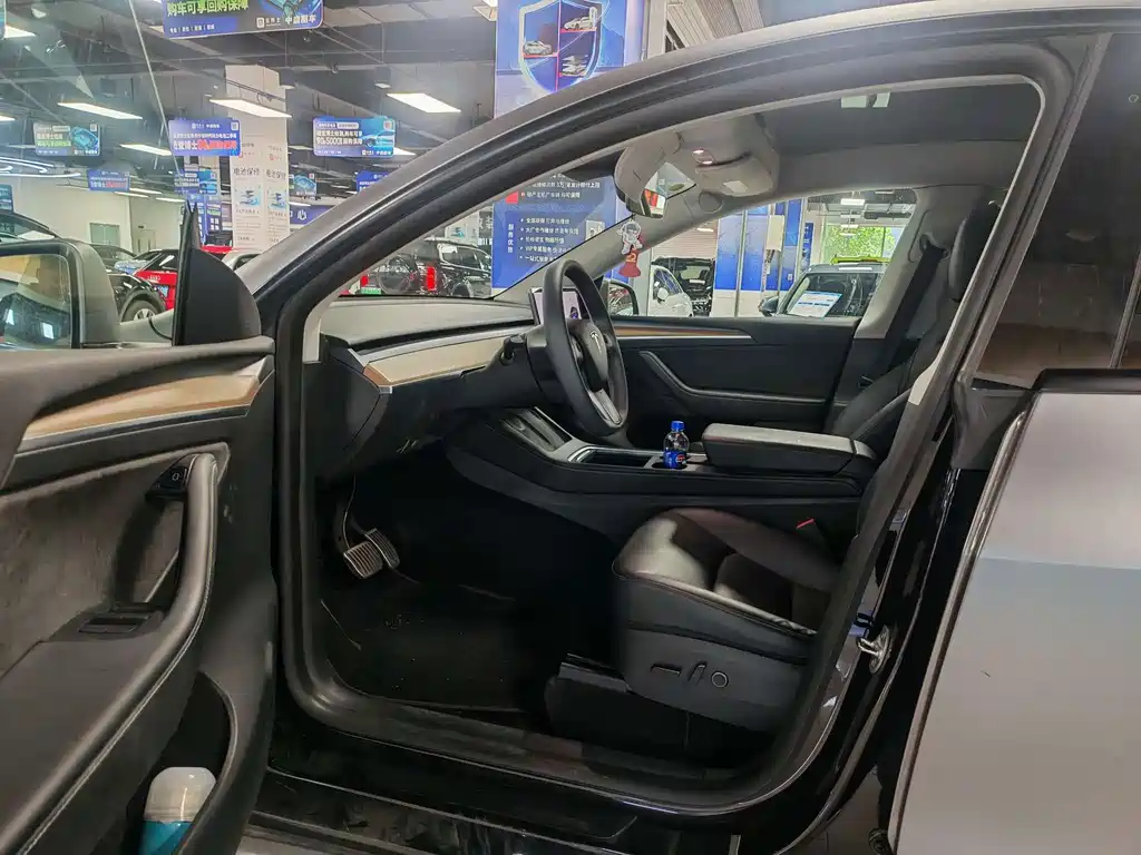 Tesla Model Y — миниатюра 2
