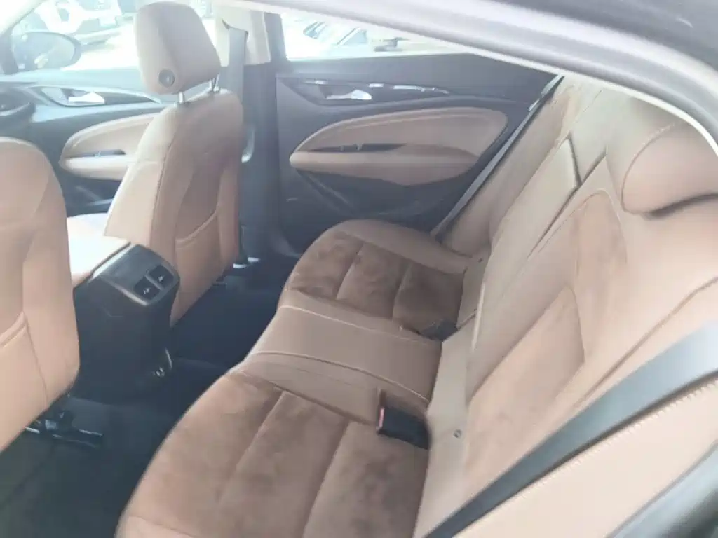 Buick Regal — миниатюра 22