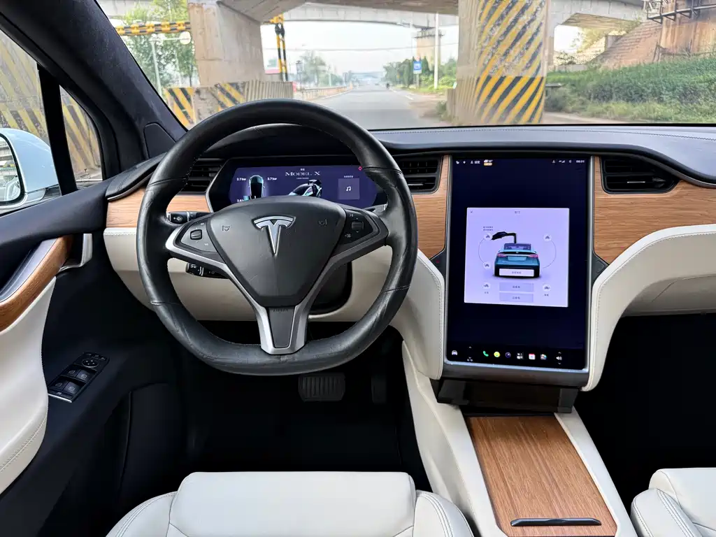 Tesla Model X — миниатюра 9