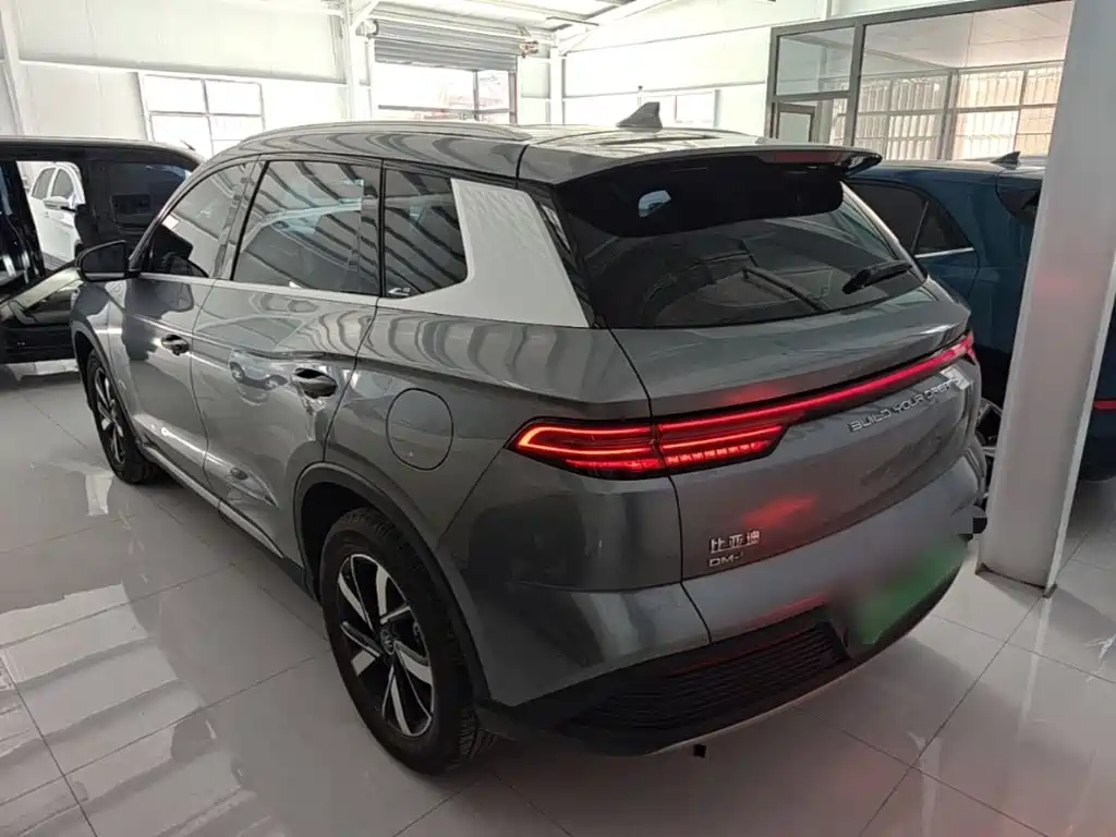 BYD Pro New Energy — миниатюра 5
