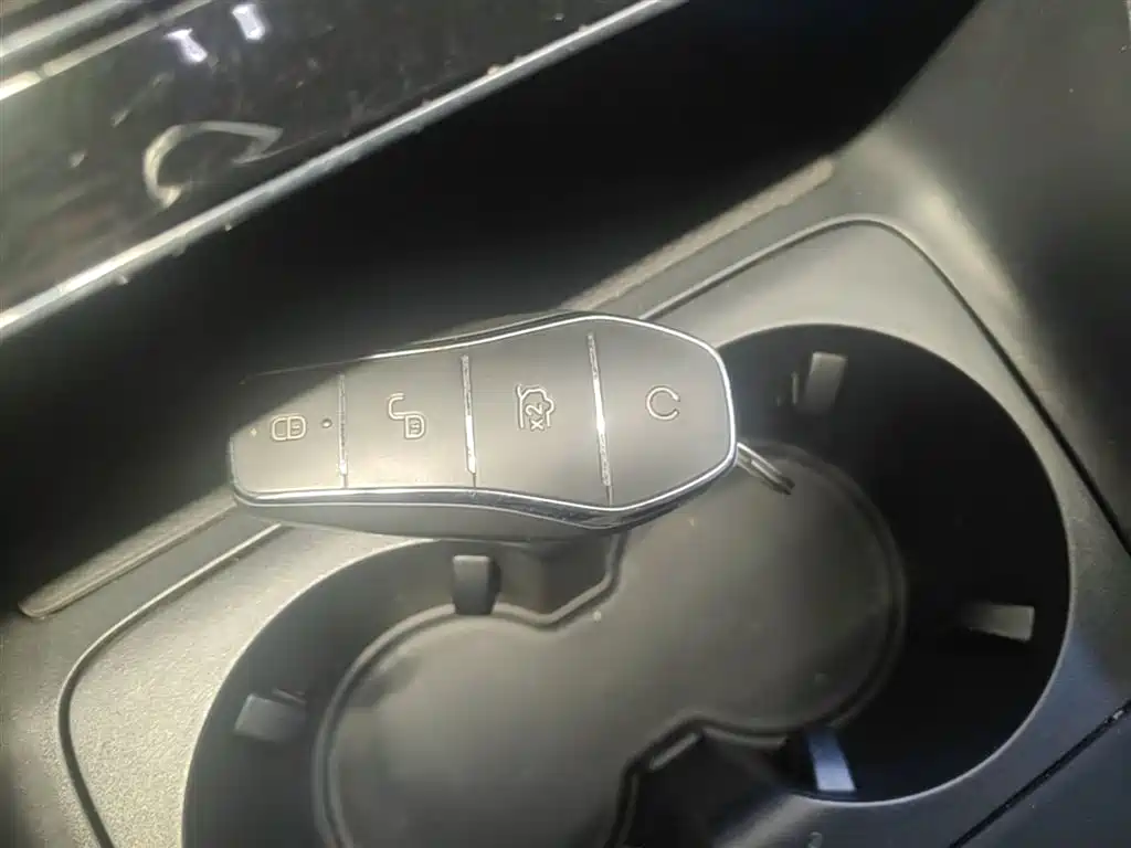 BYD Qin Plus PLUS 2024 DM-i 55KM Lead