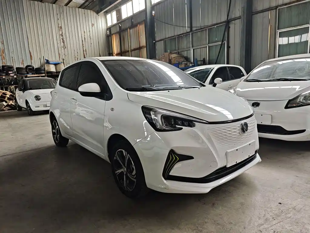 Changan Benben E-Star — миниатюра 4