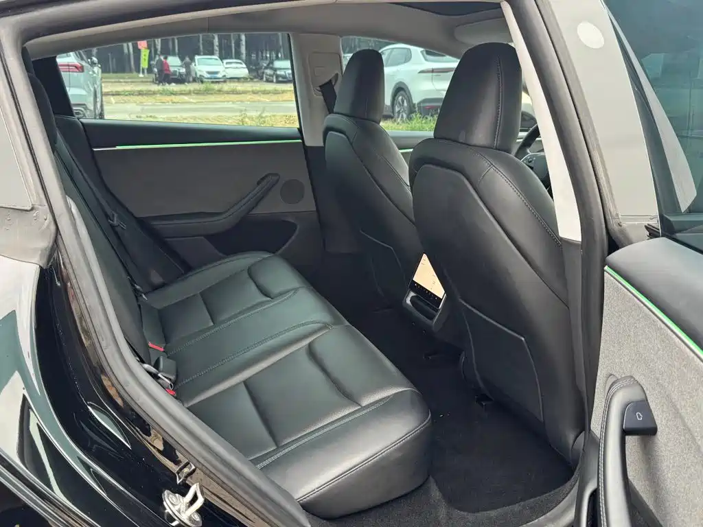 Tesla Model 3 — миниатюра 23