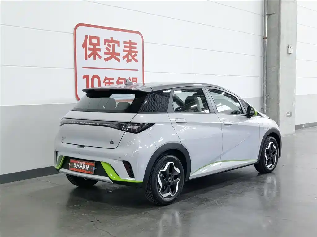 BYD Dolphin 2021 405km Fashion