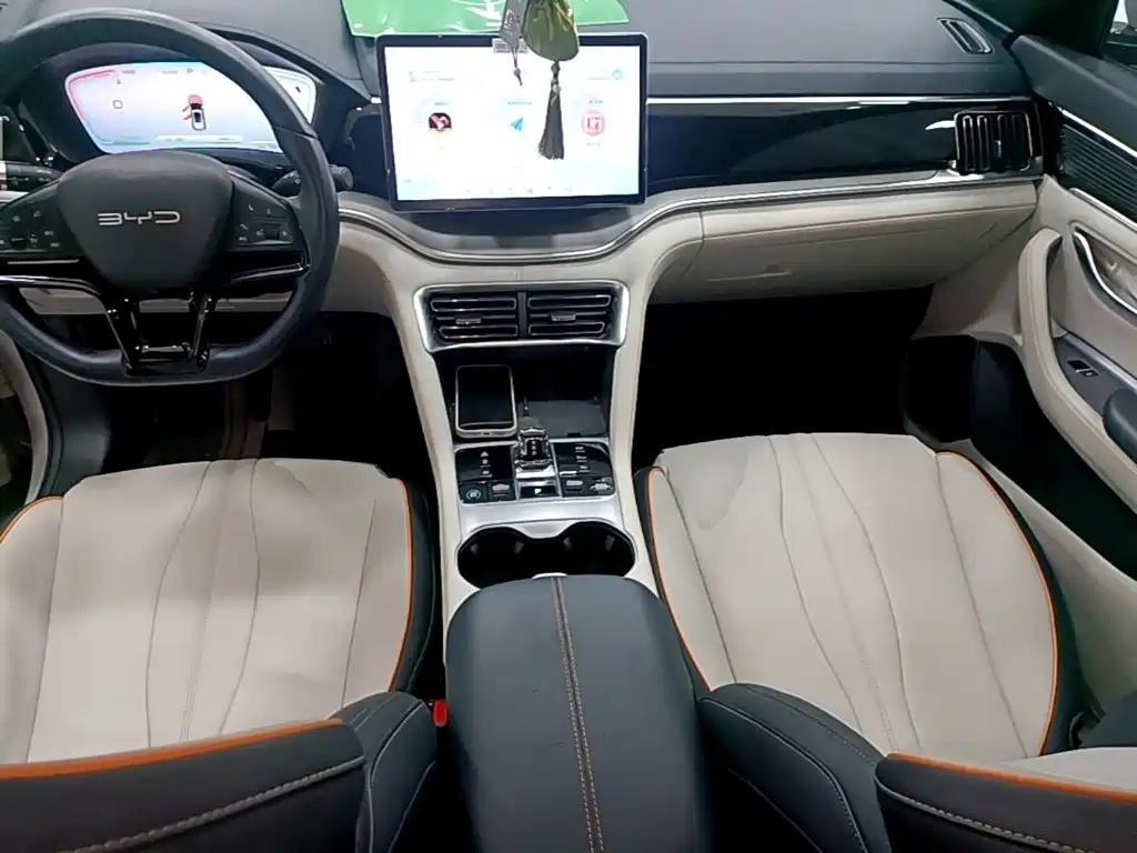 BYD PLUS New Energy — миниатюра 10