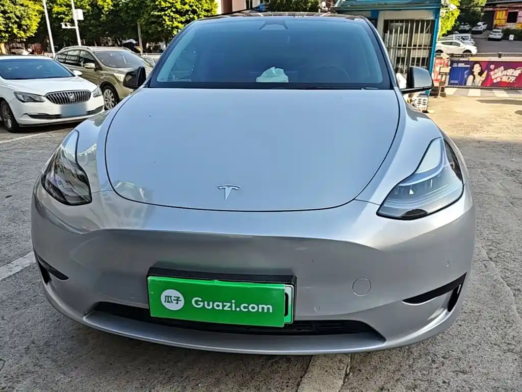 Tesla Model Y — миниатюра 3