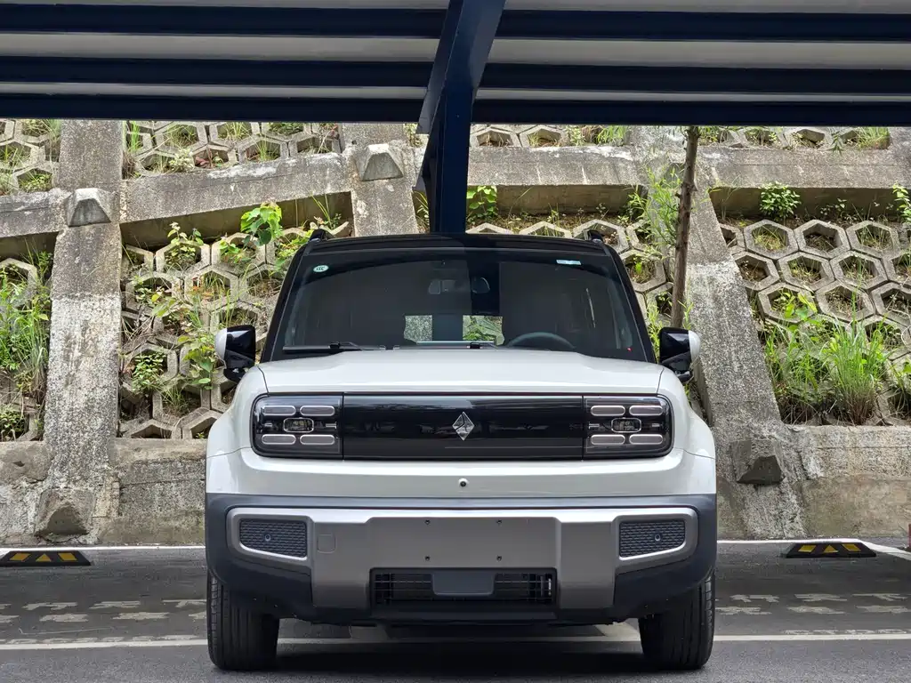 Baojun YepPlus Plus 2026 501km Flagship