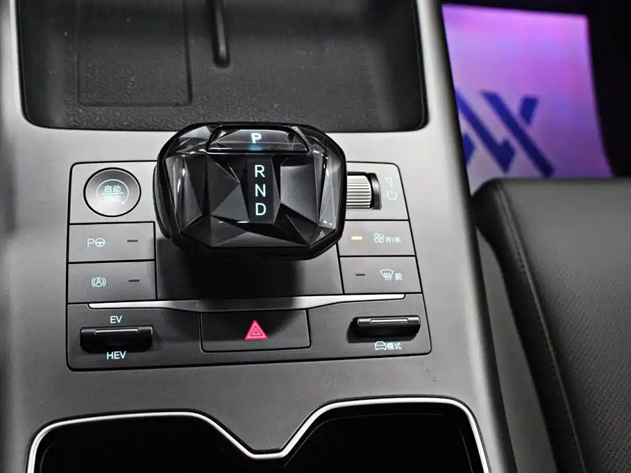 BYD SONGJIANG NEW ENERGY