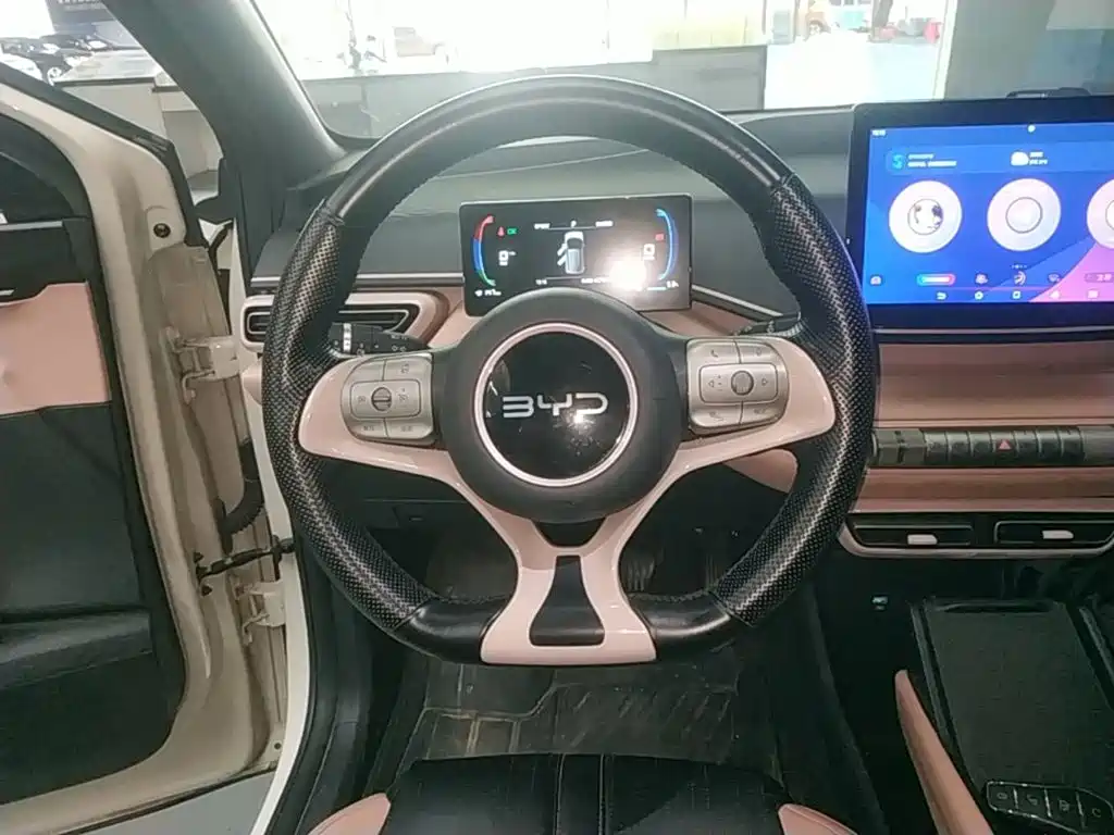 BYD Seagull — миниатюра 11