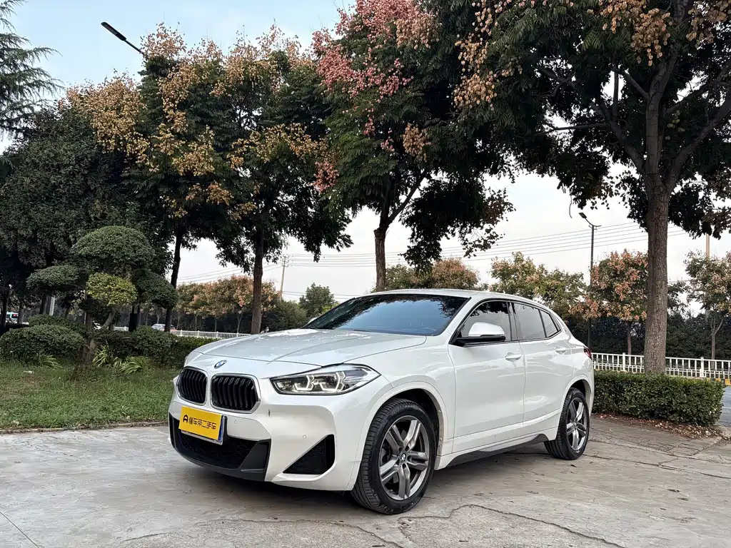 BMW X2