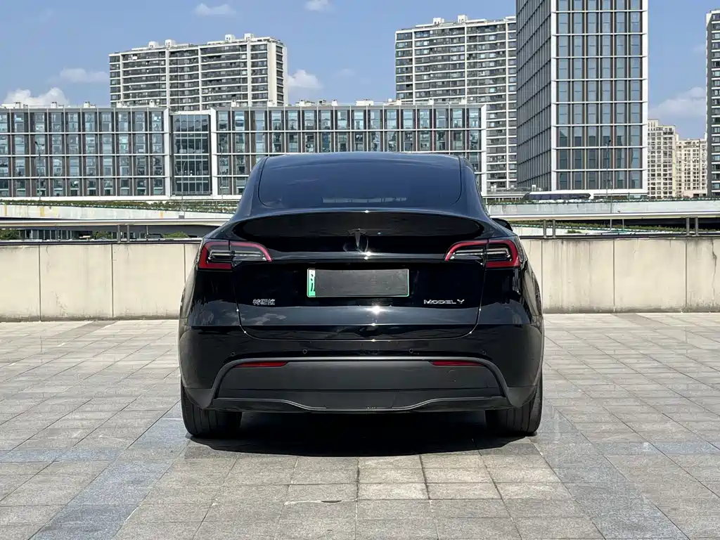 Tesla Model Y — миниатюра 14