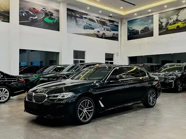 BMW 5 SERIES