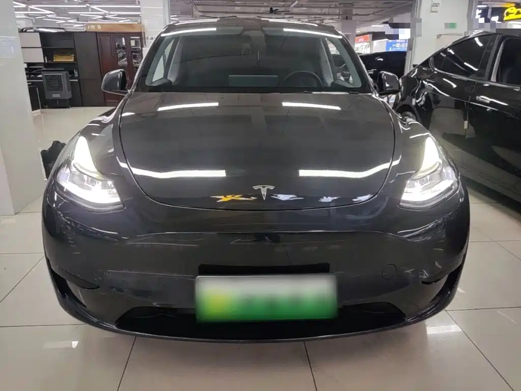 Tesla Model Y — миниатюра 3