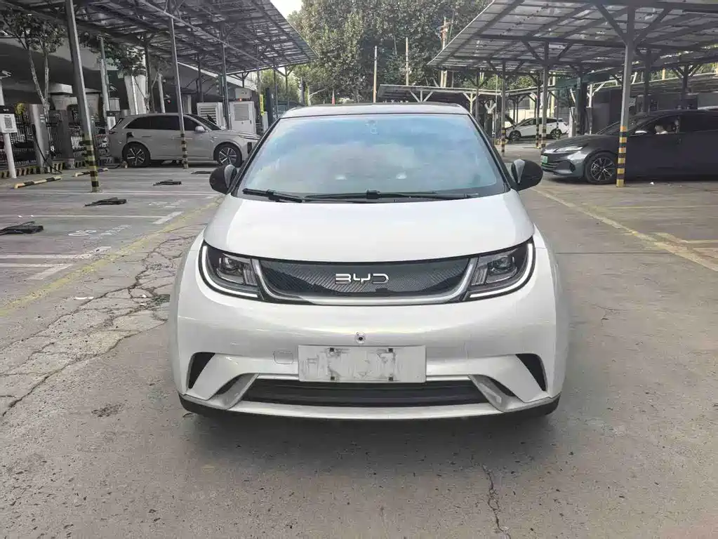 BYD Dolphin — миниатюра 2