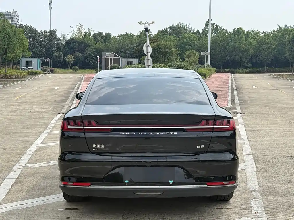 BYD e9 — миниатюра 8
