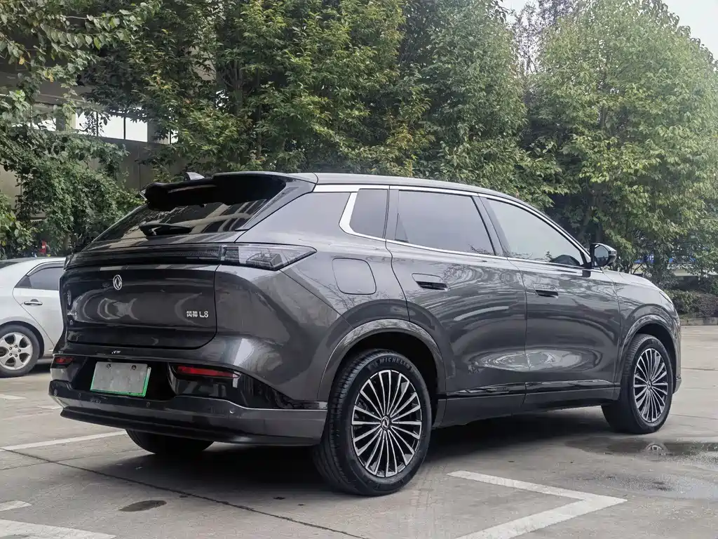 Aeolus L8 — миниатюра 7
