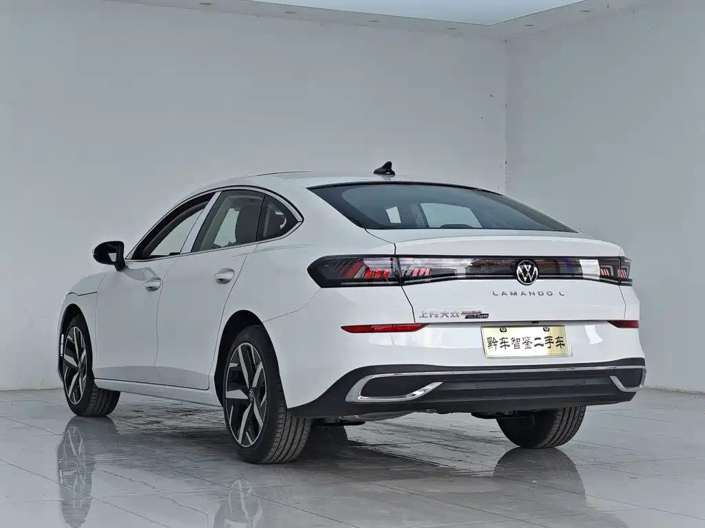 Volkswagen Lamando — миниатюра 4