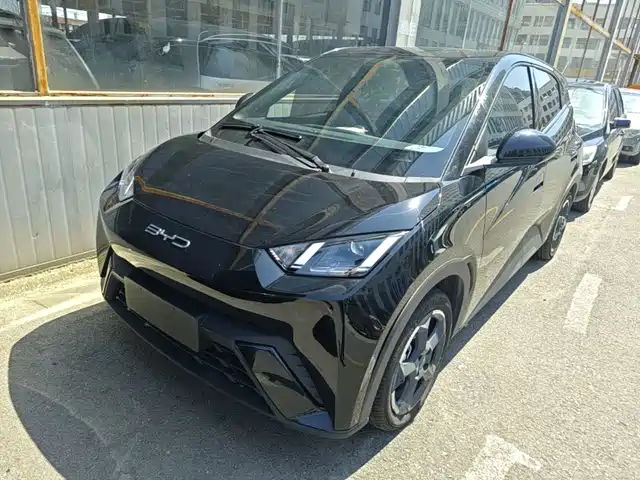 2024 BYD Seagull