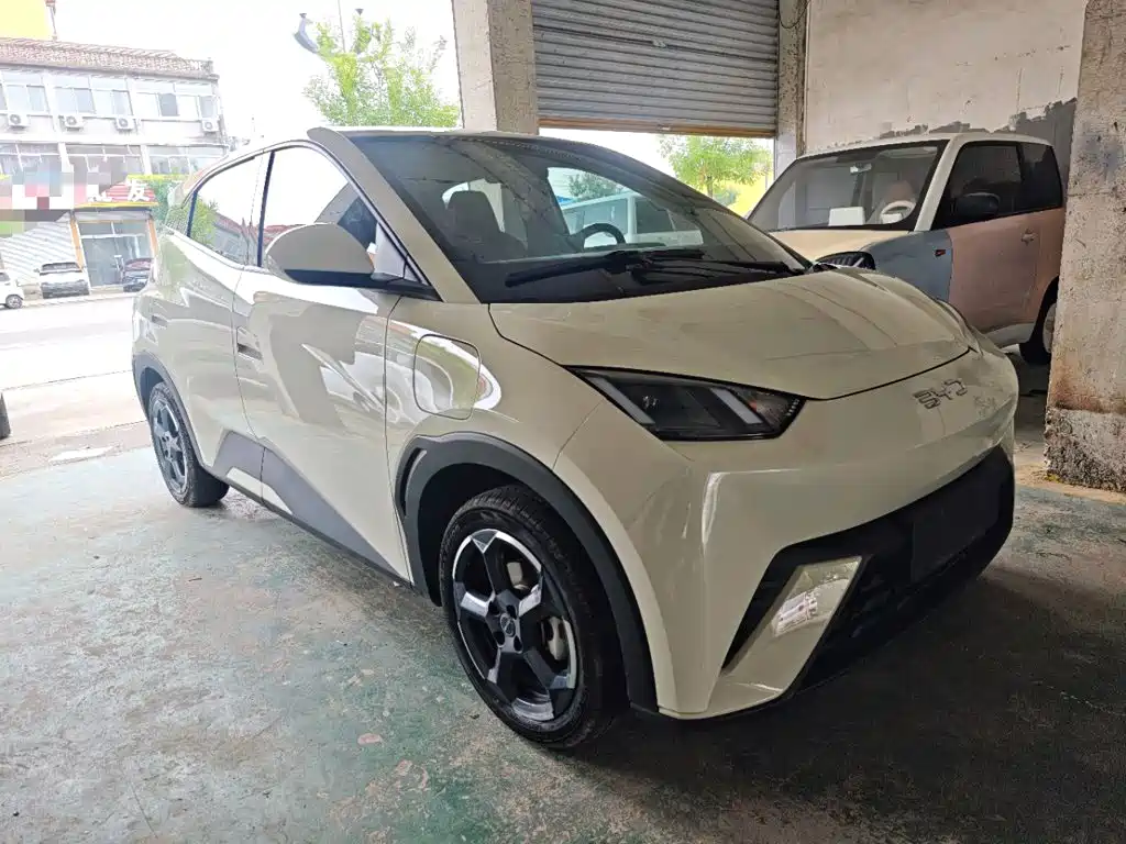 BYD Seagull 2024 305km Freedom