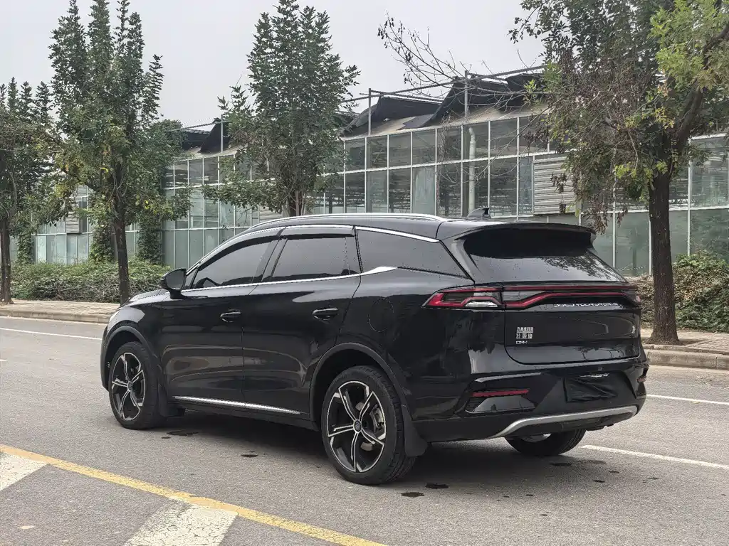 BYD Tang New Energy — миниатюра 4