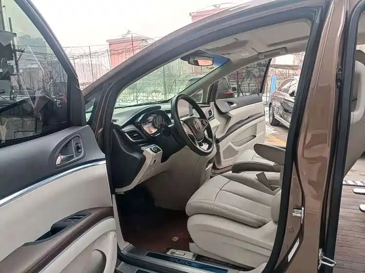 Buick GL8 — миниатюра 8