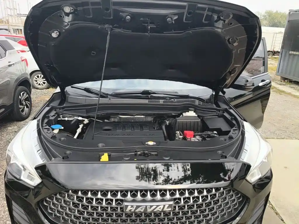 Haval M6 — миниатюра 20